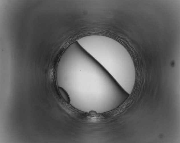 X0000100410564200806060928