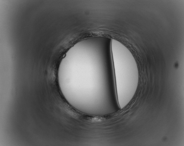 X0000100410566200806060928
