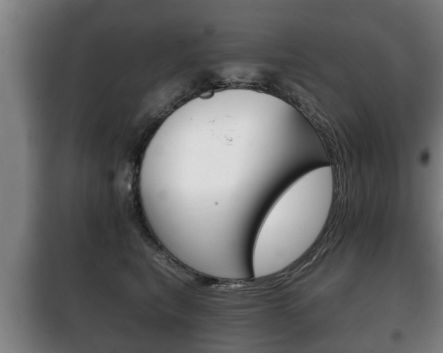 X0000100410567200806060928