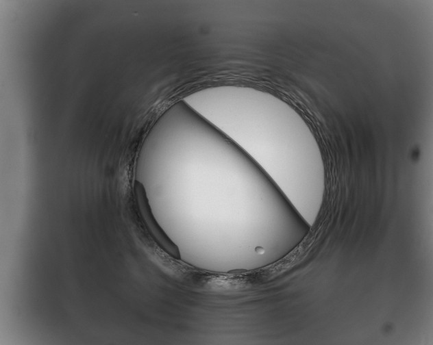 X0000100410568200806060928