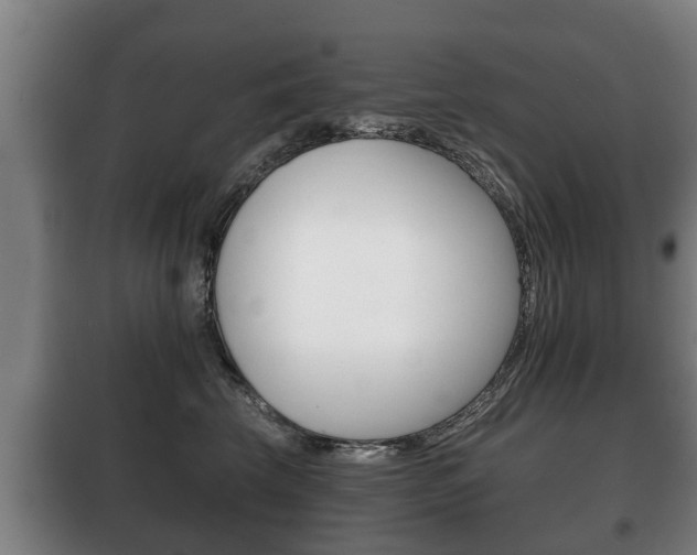 X0000100410569200806060928