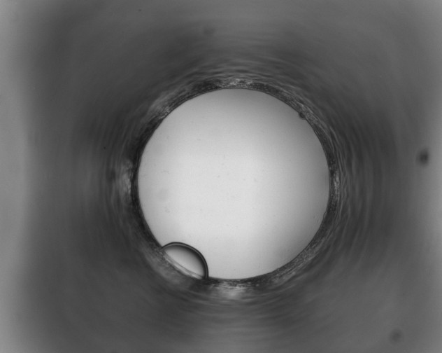 X0000100410570200806060928