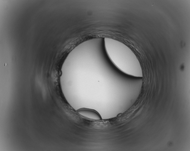 X0000100410571200806060928