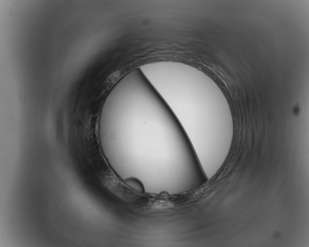 X0000100410572200806060928