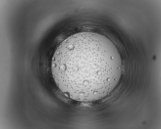 X0000100410573200806060928