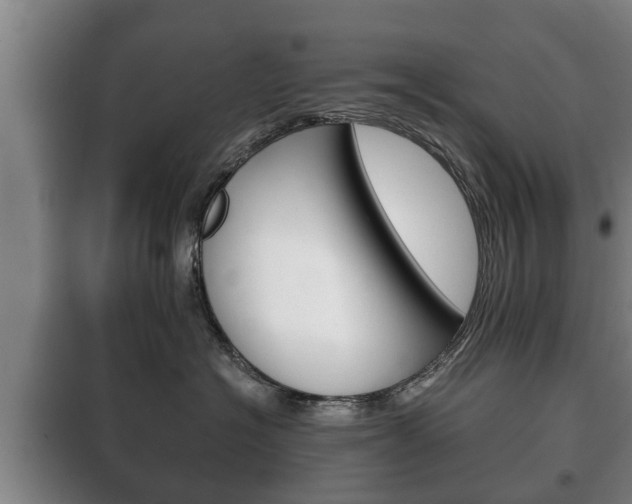 X0000100410574200806060928