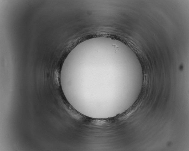 X0000100410575200806060928