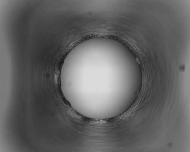 X0000100410576200806060928