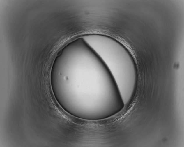 X0000100410577200806060927