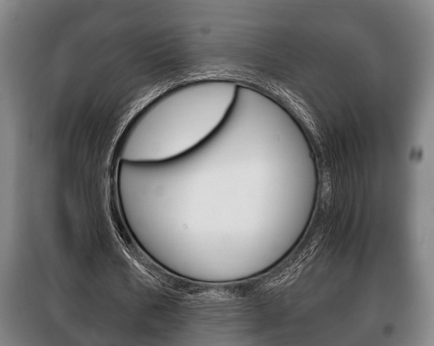 X0000100410578200806060927