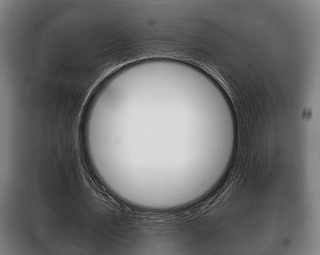 X0000100410579200806060927