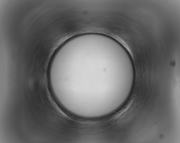 X0000100410581200806060927