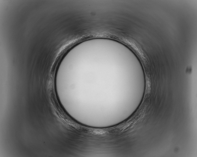X0000100410583200806060927