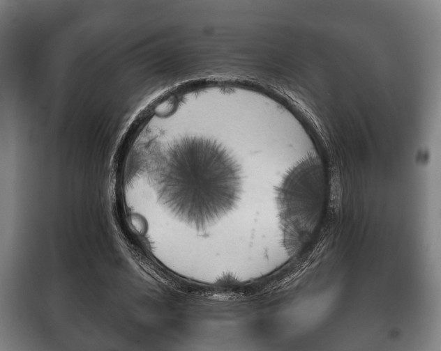 X0000100410584200806060927