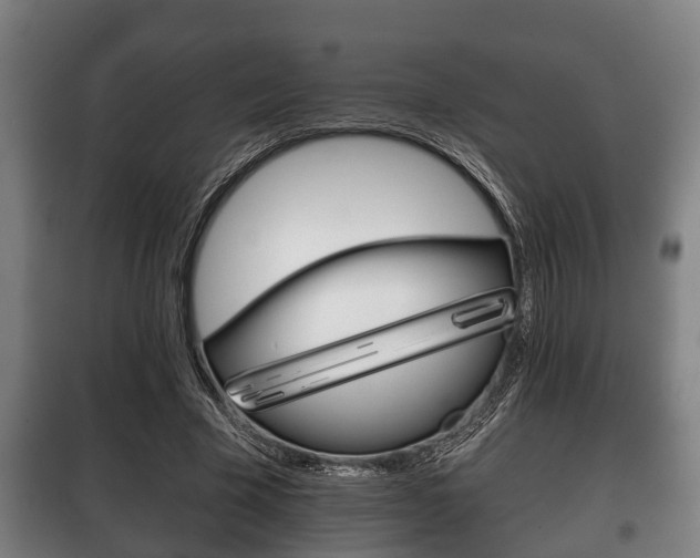 X0000100410585200806060927
