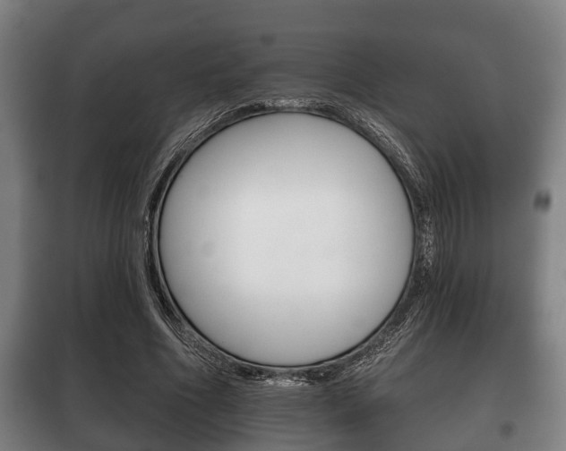 X0000100410586200806060927