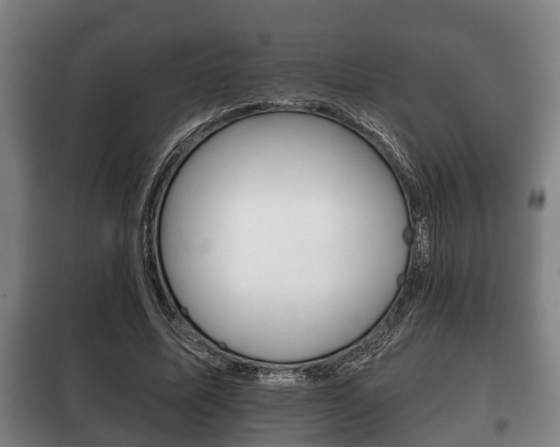X0000100410587200806060927
