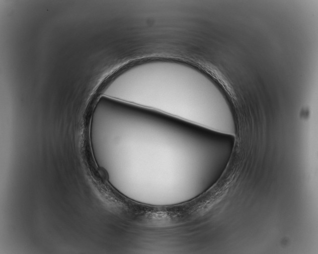 X0000100410588200806060927