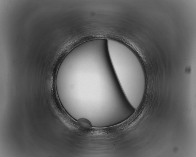 X0000100410589200806060927