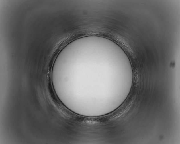 X0000100410590200806060927