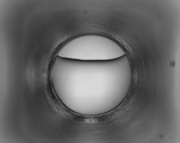 X0000100410591200806060927
