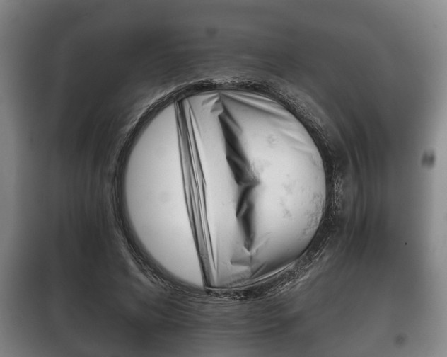 X0000100410592200806060927