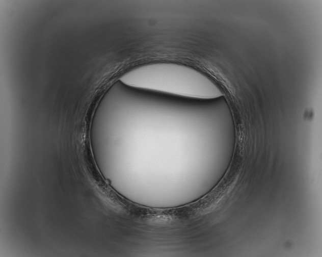 X0000100410593200806060927