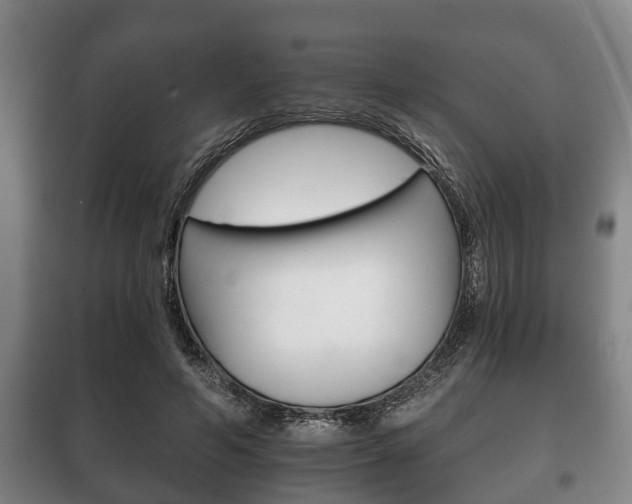 X0000100410594200806060927