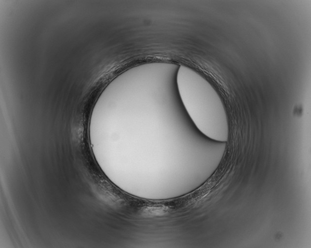 X0000100410595200806060927