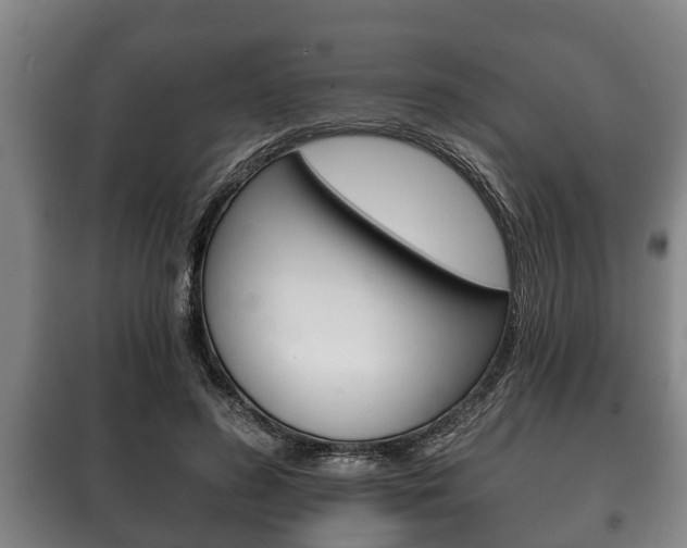 X0000100410596200806060927