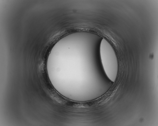 X0000100410597200806060927