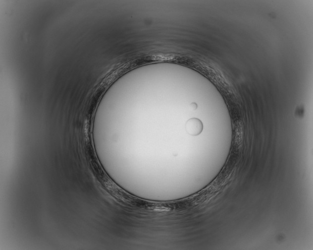 X0000100410598200806060927