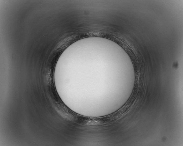 X0000100410599200806060927