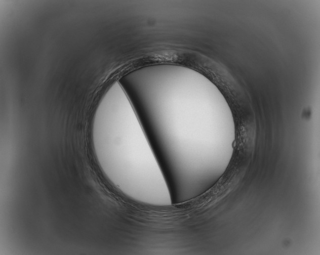 X0000100410600200806060927
