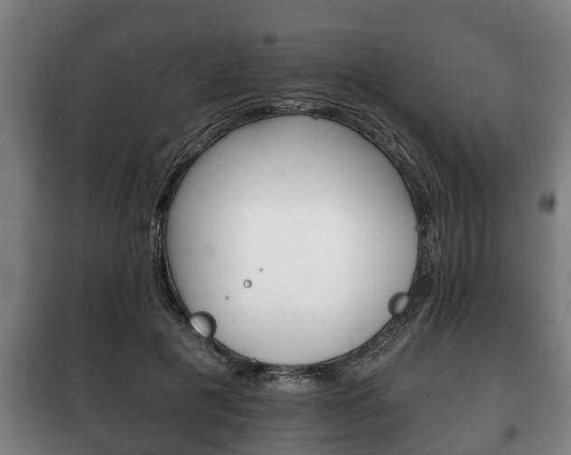 X0000100410601200806060927
