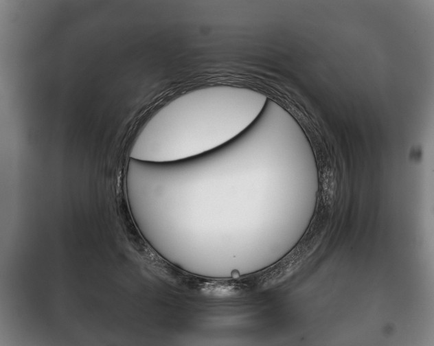 X0000100410602200806060927