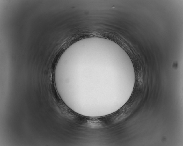 X0000100410603200806060927