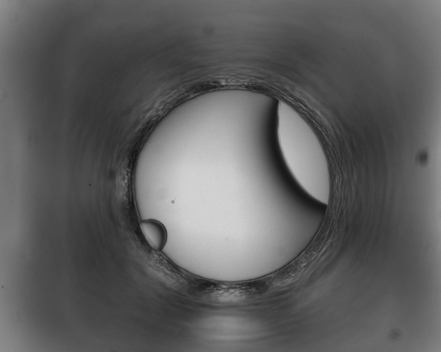 X0000100410604200806060927