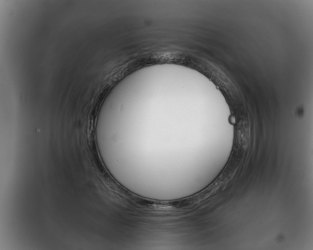 X0000100410605200806060927