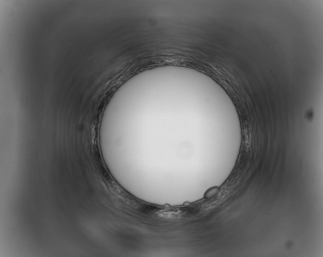 X0000100410606200806060927