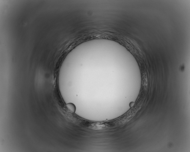 X0000100410607200806060926
