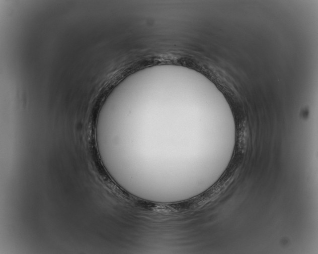X0000100410608200806060926