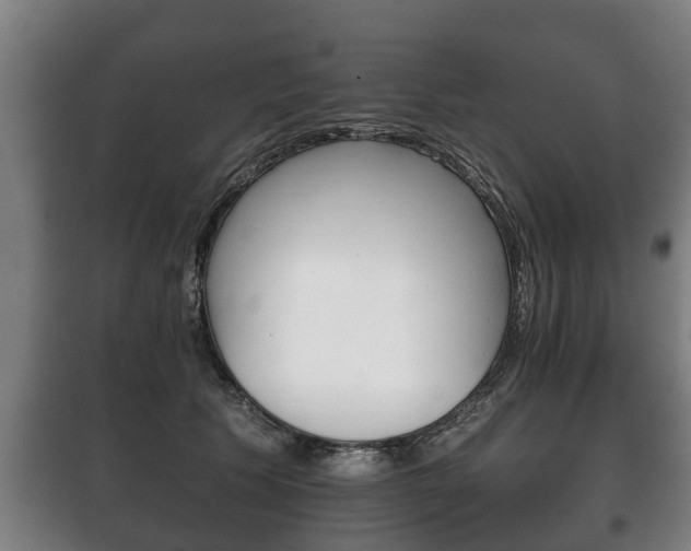 X0000100410609200806060926
