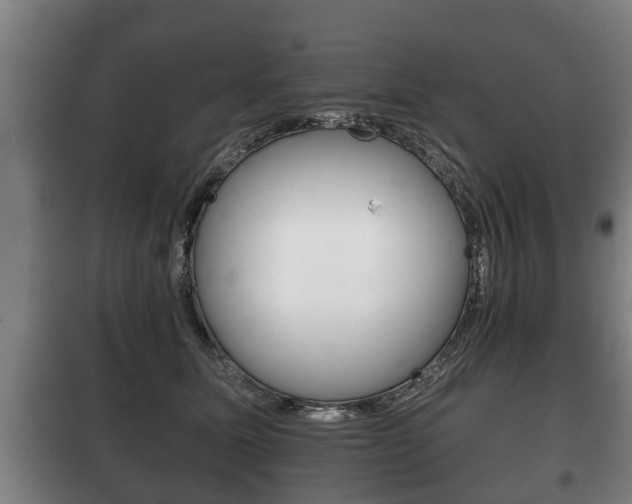X0000100410611200806060926