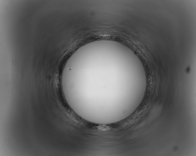 X0000100410612200806060926