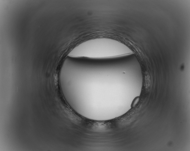 X0000100410613200806060926