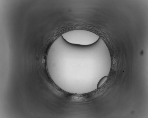 X0000100410614200806060926