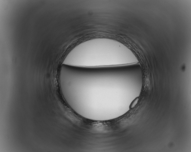X0000100410616200806060926