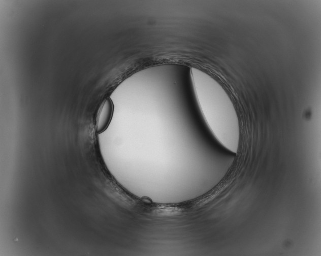 X0000100410617200806060926