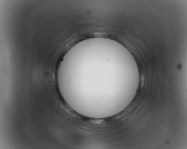 X0000100410618200806060926